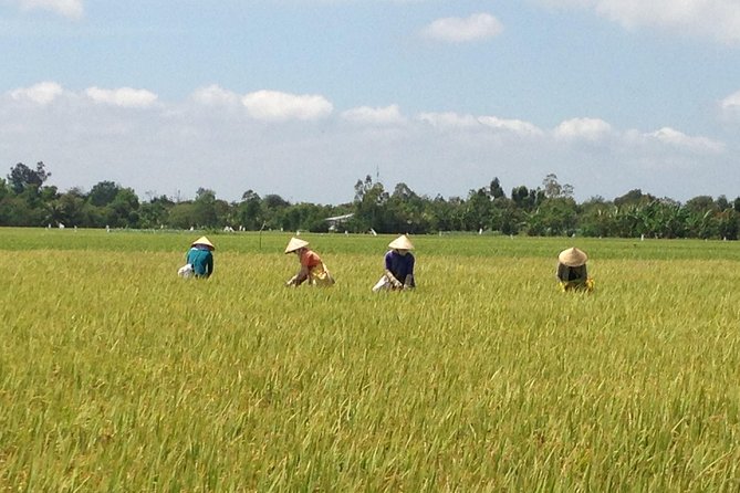 Private Authentic Mekong River Full Day Trip - Non Touristic Mekong delta - How This Private Mekong Day Works From Ho Chi Minh City