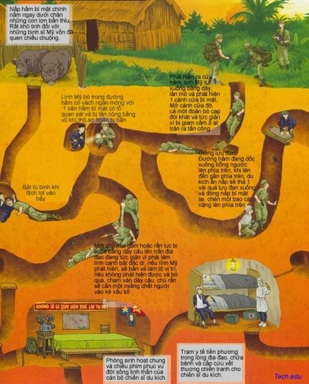 Private Cu Chi Tunnels & Mekong Delta: Full-Day Guided Tour - The Shift to the Mekong: My Tho and an Island-Filled Cruise