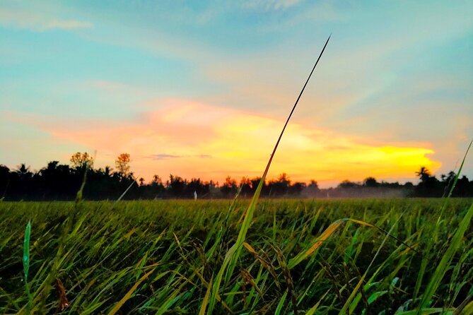 PRIVATE Mekong Delta 1 Day with Kayaking, Biking & Cooking - Morning pickup and the run toward My Tho and Ben Tre
